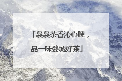 袅袅茶香沁心脾，品一味婺城好茶