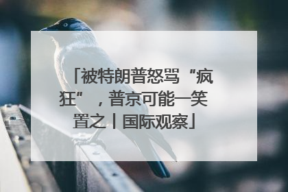 被特朗普怒骂“疯狂”，普京可能一笑置之丨国际观察