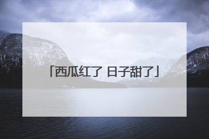 西瓜红了 日子甜了
