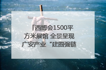西博会1500平方米展馆 全景呈现广安产业“建圈强链”｜西博视界