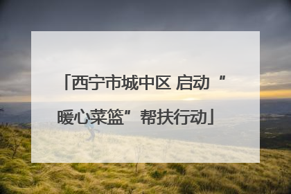 西宁市城中区 启动“暖心菜篮”帮扶行动