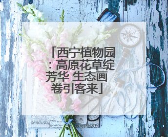 西宁植物园：高原花草绽芳华 生态画卷引客来