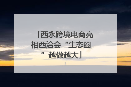 西永跨境电商亮相西洽会“生态圈”越做越大