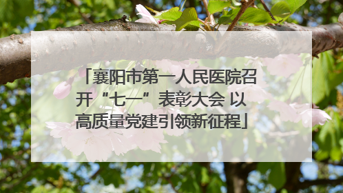 襄阳市第一人民医院召开“七一”表彰大会 以高质量党建引领新征程