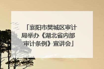 襄阳市樊城区审计局举办《湖北省内部审计条例》宣讲会