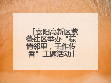 襄阳高新区紫薇社区举办“粽情邻里，手作传香”主题活动
