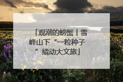 观潮的螃蟹丨雪峰山下“一粒种子”撬动大文旅