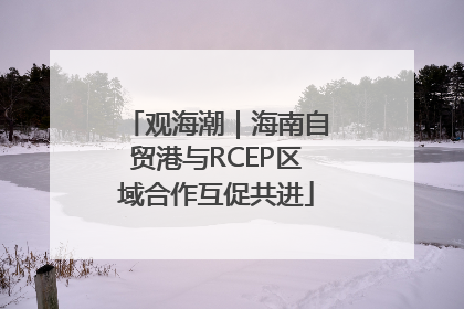 观海潮｜海南自贸港与RCEP区域合作互促共进