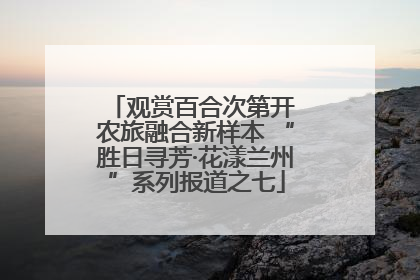 观赏百合次第开 农旅融合新样本 “胜日寻芳·花漾兰州”系列报道之七