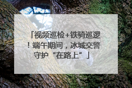 视频巡检+铁骑巡逻！端午期间，冰城交警守护“在路上”