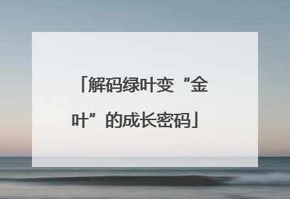 解码绿叶变“金叶”的成长密码