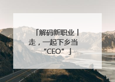 解码新职业丨走，一起下乡当“CEO”