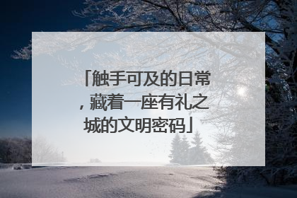 触手可及的日常，藏着一座有礼之城的文明密码