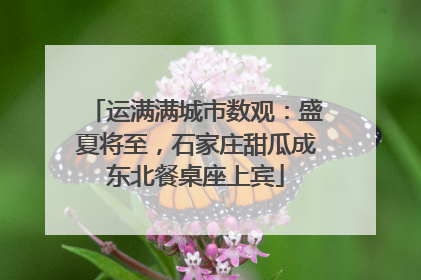 运满满城市数观：盛夏将至，石家庄甜瓜成东北餐桌座上宾