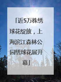 近5万株绣球花绽放，上海滨江森林公园绣球花展开幕