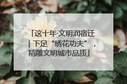 这十年·文明润宿迁｜下足“绣花功夫”，精雕文明城市品质