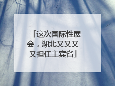 这次国际性展会，湖北又又又又担任主宾省