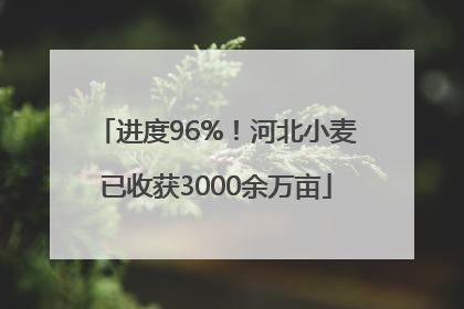 进度96%！河北小麦已收获3000余万亩