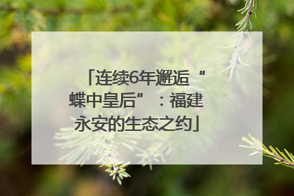 连续6年邂逅“蝶中皇后”：福建永安的生态之约