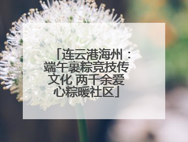 连云港海州：端午裹粽竞技传文化 两千余爱心粽暖社区