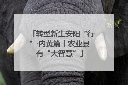 转型新生安阳“行”·内黄篇丨农业县有“大智慧”