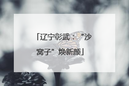 辽宁彰武：“沙窝子”焕新颜