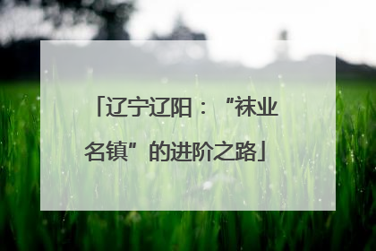 辽宁辽阳：“袜业名镇”的进阶之路