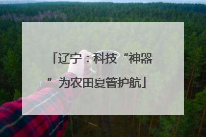 辽宁：科技“神器”为农田夏管护航