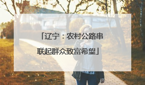辽宁：农村公路串联起群众致富希望