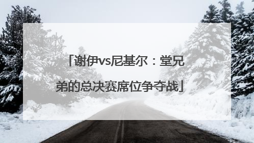 谢伊vs尼基尔：堂兄弟的总决赛席位争夺战
