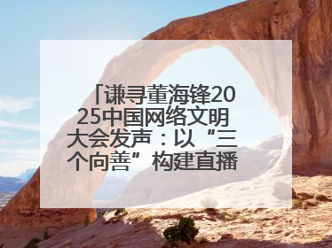 谦寻董海锋2025中国网络文明大会发声：以“三个向善”构建直播电商善意长河