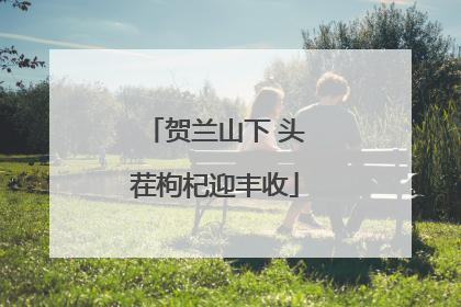 贺兰山下 头茬枸杞迎丰收