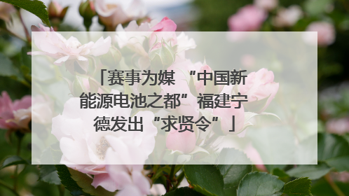 赛事为媒 “中国新能源电池之都”福建宁德发出“求贤令”