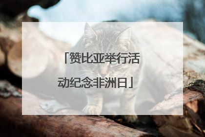 赞比亚举行活动纪念非洲日
