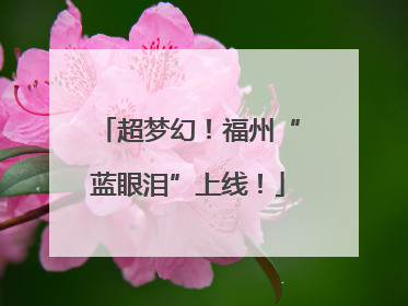 超梦幻！福州“蓝眼泪”上线！