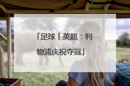 足球丨英超：利物浦庆祝夺冠