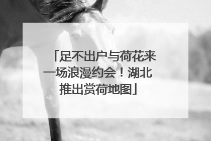 足不出户与荷花来一场浪漫约会！湖北推出赏荷地图