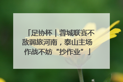 足协杯｜蓉城联赛不敌弱旅河南，泰山主场作战不妨“抄作业”