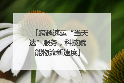 跨越速运“当天达”服务，科技赋能物流新速度