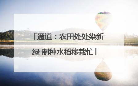 通道：农田处处染新绿 制种水稻移栽忙