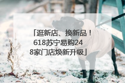 逛新店、换新品！618苏宁易购248家门店焕新升级