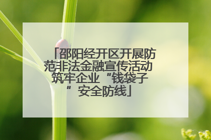邵阳经开区开展防范非法金融宣传活动 筑牢企业“钱袋子”安全防线