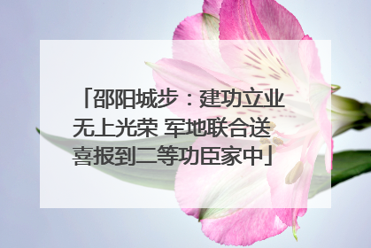 邵阳城步：建功立业无上光荣 军地联合送喜报到二等功臣家中