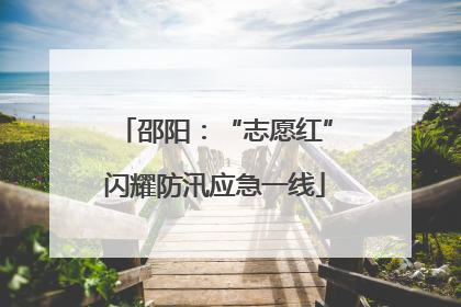 邵阳：“志愿红”闪耀防汛应急一线