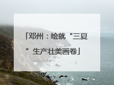 邓州：绘就“三夏”生产壮美画卷