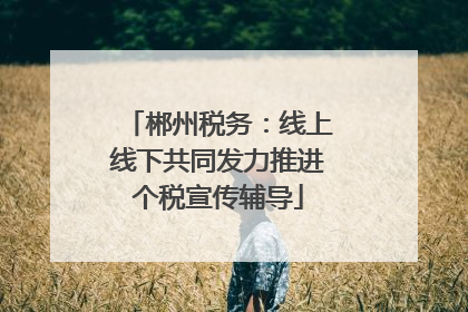 郴州税务：线上线下共同发力推进个税宣传辅导