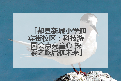 郏县新城小学迎宾街校区：科技游园会点亮童心 探索之旅启航未来