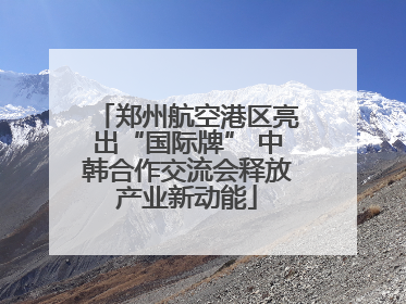 郑州航空港区亮出“国际牌” 中韩合作交流会释放产业新动能