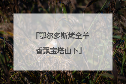 鄂尔多斯烤全羊香飘宝塔山下