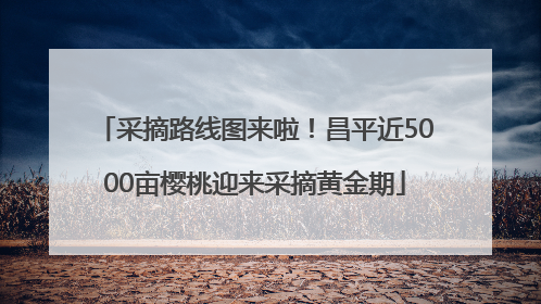采摘路线图来啦！昌平近5000亩樱桃迎来采摘黄金期